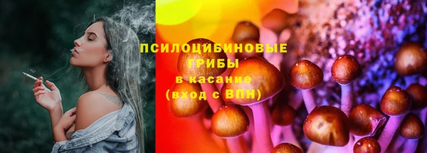 гидра Елизово