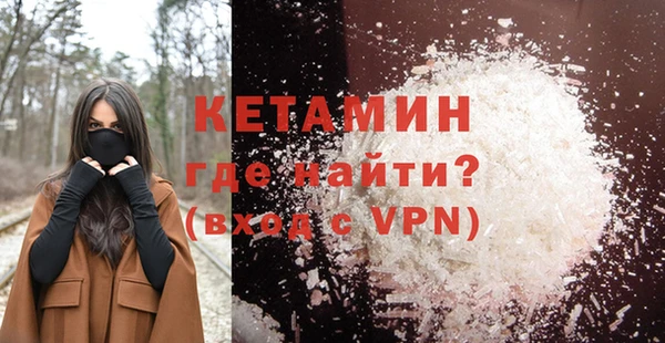 гашик Ельня