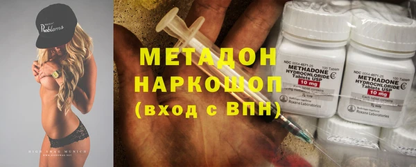 гашик Ельня