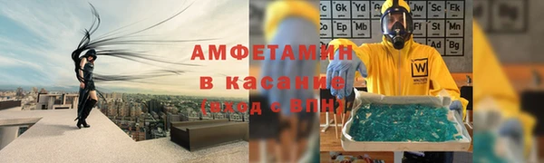 гидра Елизово