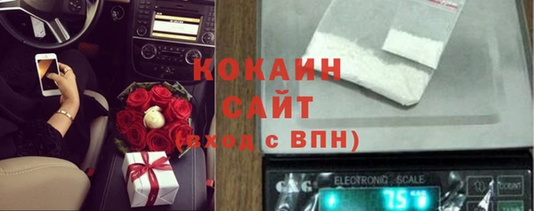гашик Ельня