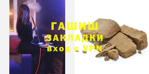 гашик Ельня