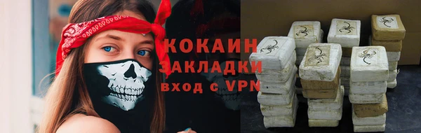гидра Елизово
