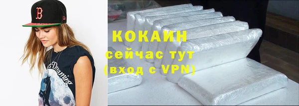 гашик Ельня