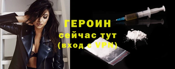 гашик Ельня
