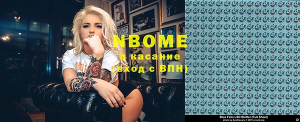 гидра Елизово