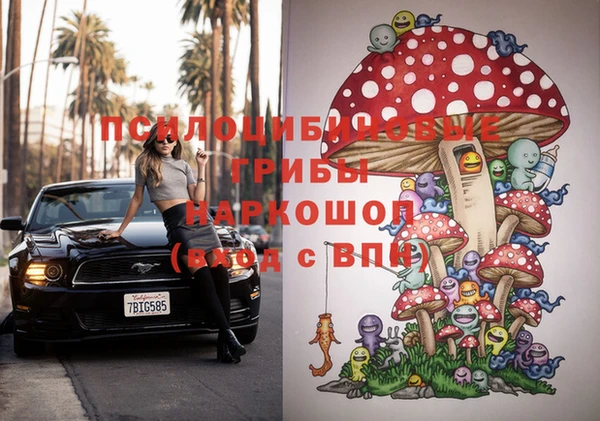 гидра Елизово