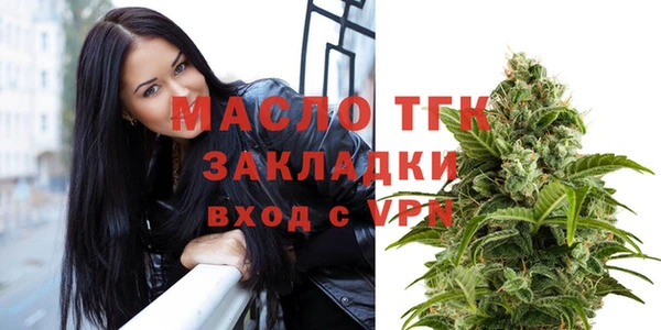 гидра Елизово