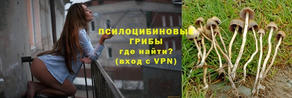 гашик Ельня
