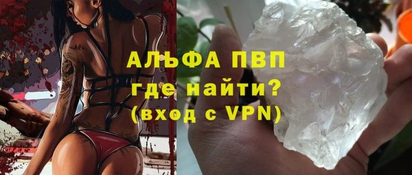 гашик Ельня