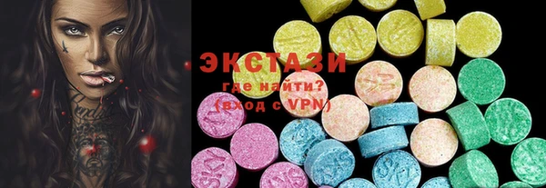 гашик Ельня