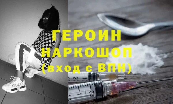 гашик Ельня