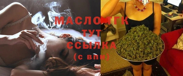 гашик Ельня