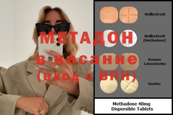 гидра Елизово