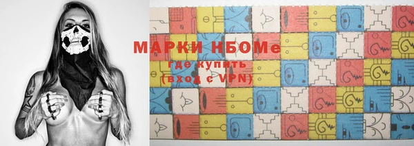 гашик Ельня